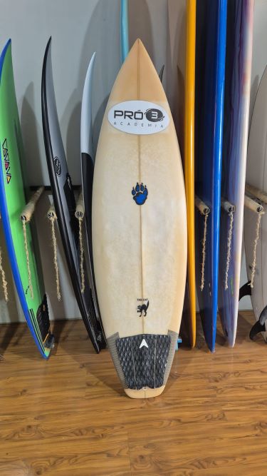 WhatsApp Image 2026-01-24 at 11.51.41